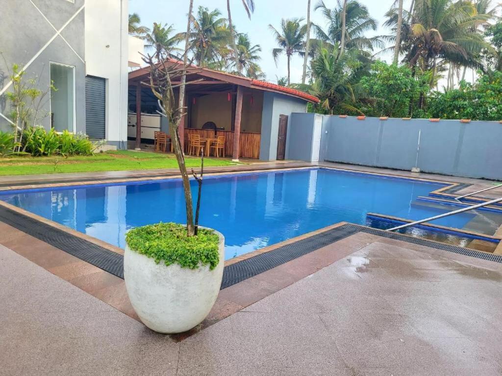 אהנגאמה Canela Villa And Resort מראה חיצוני תמונה